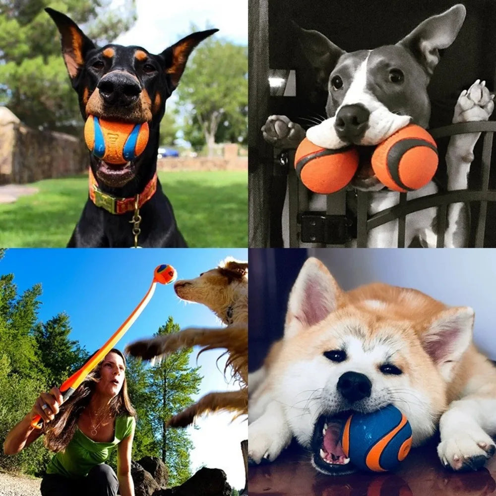 Rubber Dog Ball – Fetch, Chew & Jumping Toy