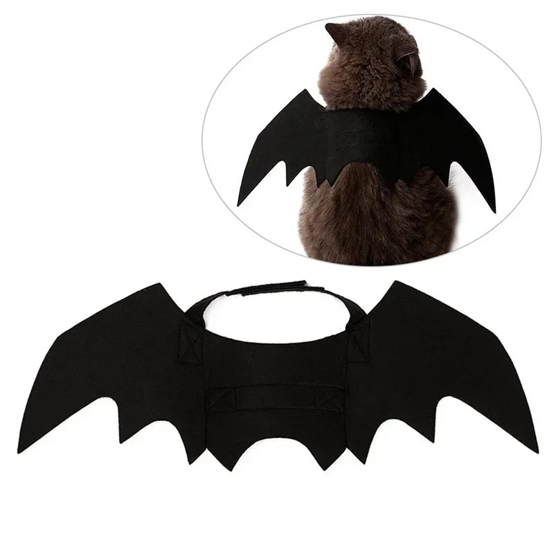 Bat Wing Cat Costume – Black Halloween Pet Cosplay Outfit