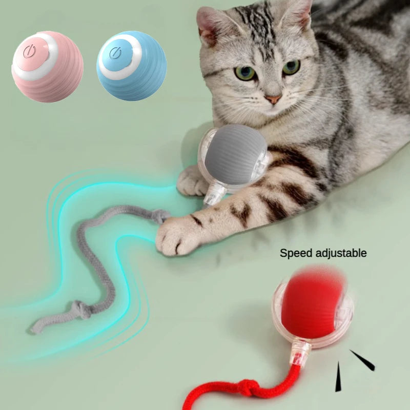 Automatic Cat Ball Toy – Rechargeable Interactive Rolling Ball