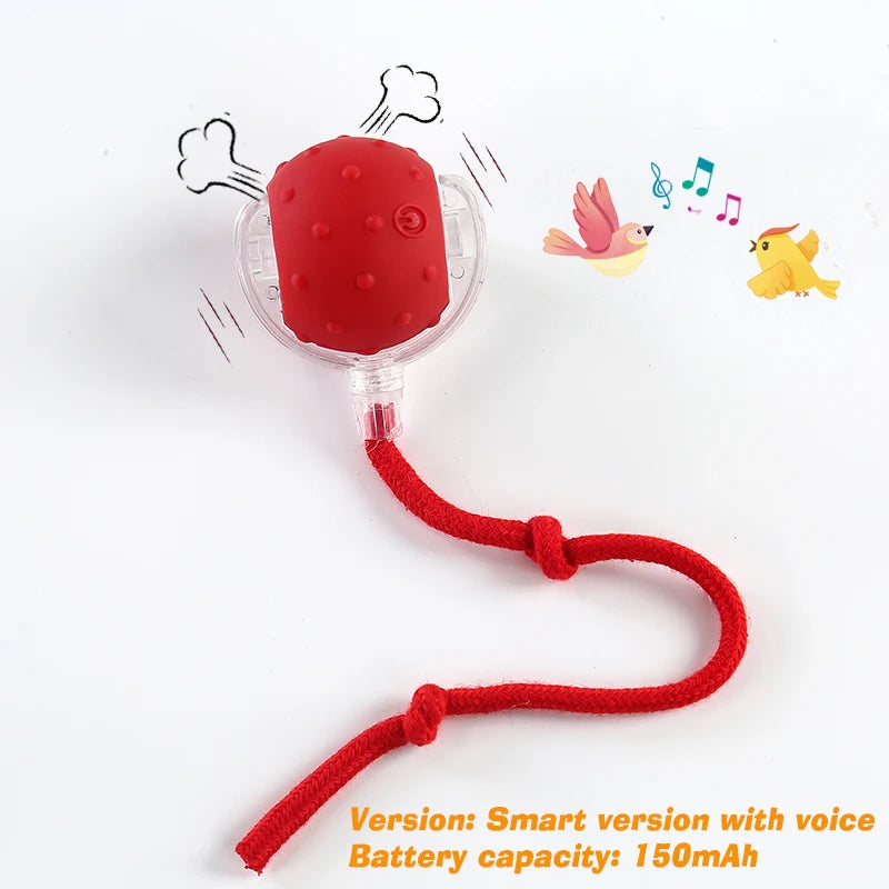 Automatic Dog Ball, Rechargeable Interactive Toy for Dogs