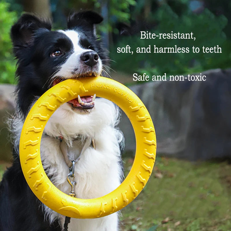 Interactive Dog Toys 4 Pack