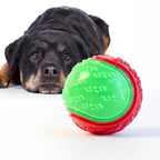 Dog Chew Ball Silicone Squeaky Teeth Cleaning Toy