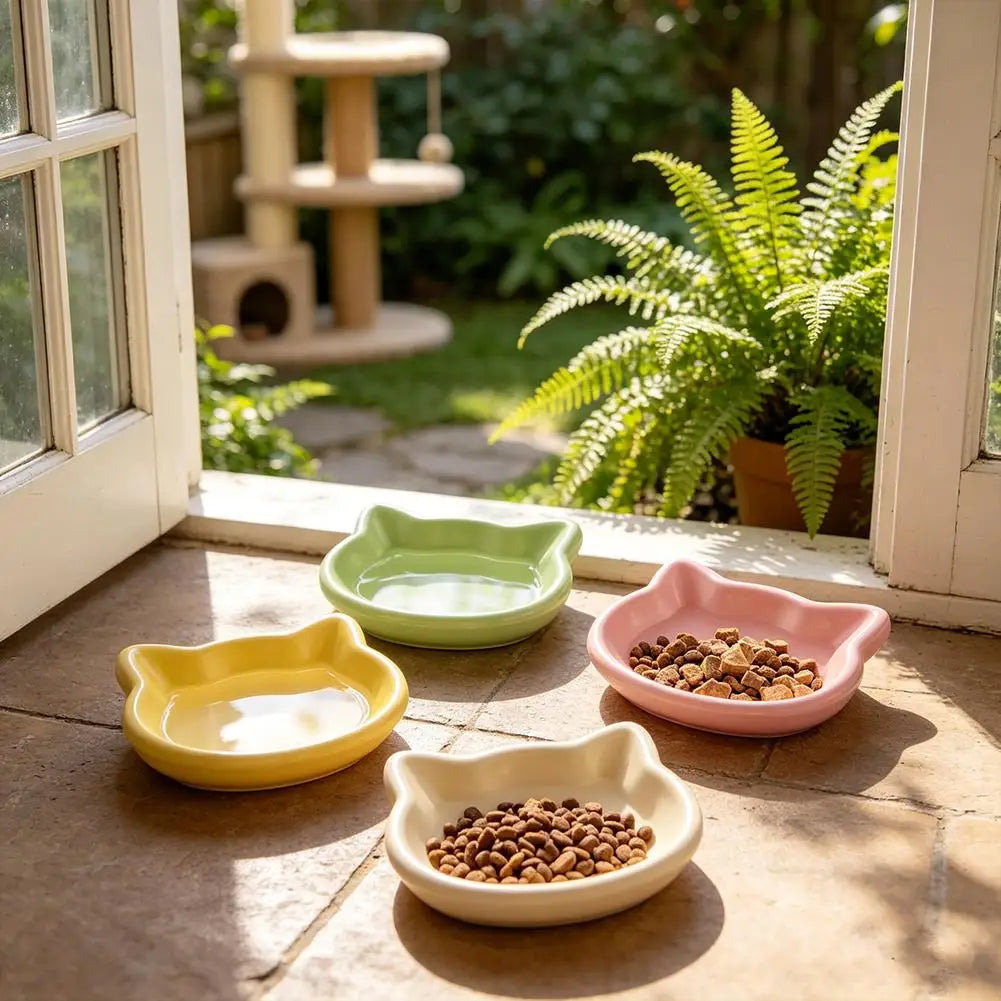 Cat Food Bowl – Shallow Plastic Cat Feeding Dish for Wet & Dry Food