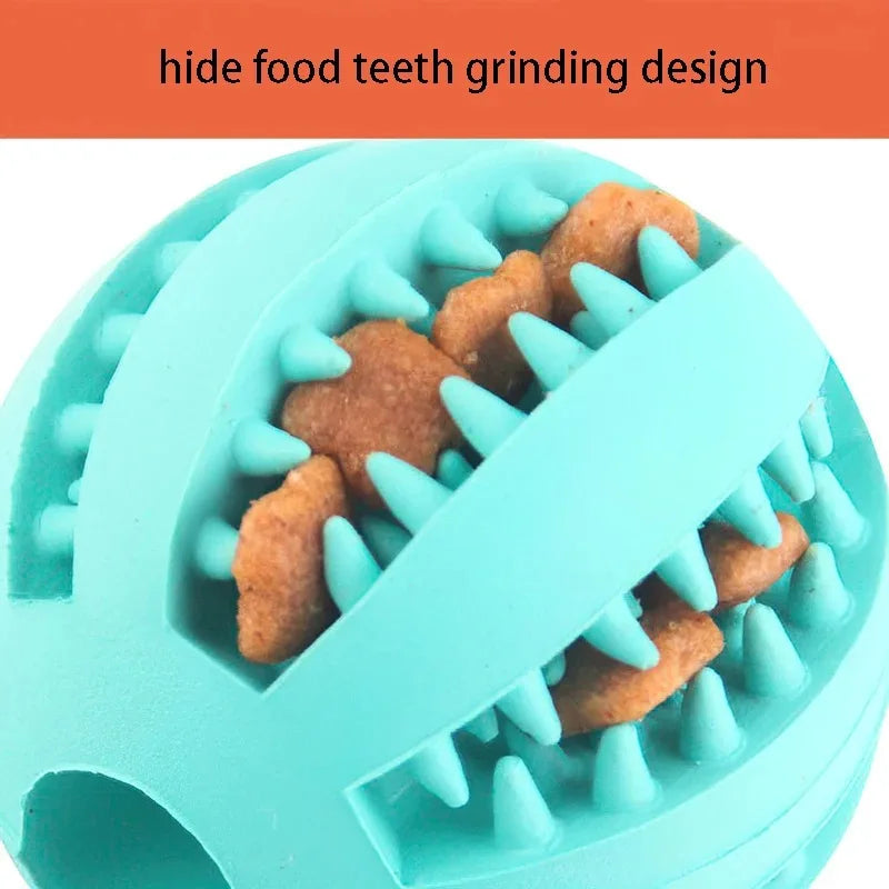 Dog Chew Ball – Natural Rubber Treat & Interactive Toy