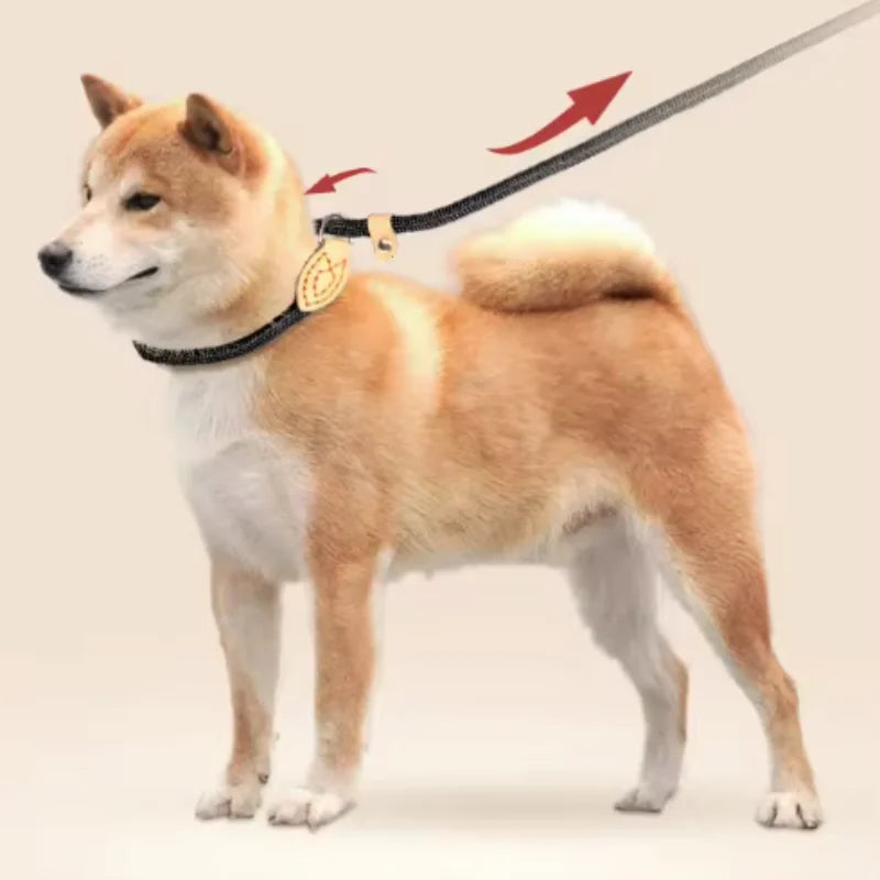 Adjustable Dog Leash – Nylon Slip Lead for Small to Medium Dogs