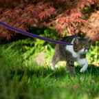 Long Dog Leash, Adjustable Training Lead in 1.5m to 15m Length