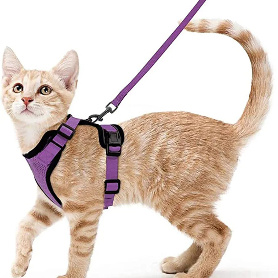 Cat Harness and Leash Set – Adjustable Vest for Walking
