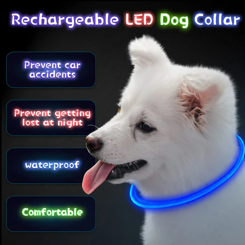 LED Dog Collar, Rechargeable Light Up Reflective Nylon Collar