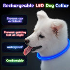 LED Dog Collar, Rechargeable Light Up Reflective Nylon Collar