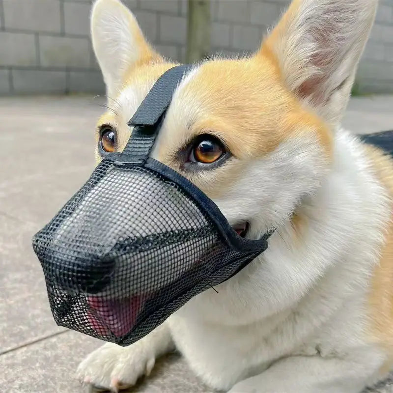 Dog Muzzle Breathable Mesh Anti-Eating Mouth Guard