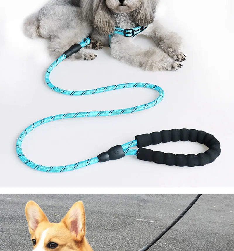 Reflective Dog Leash – Nylon Walking Lead with Quick Release