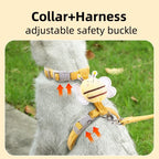 Cat Harness and Leash Set – Adjustable Bee Walking Vest