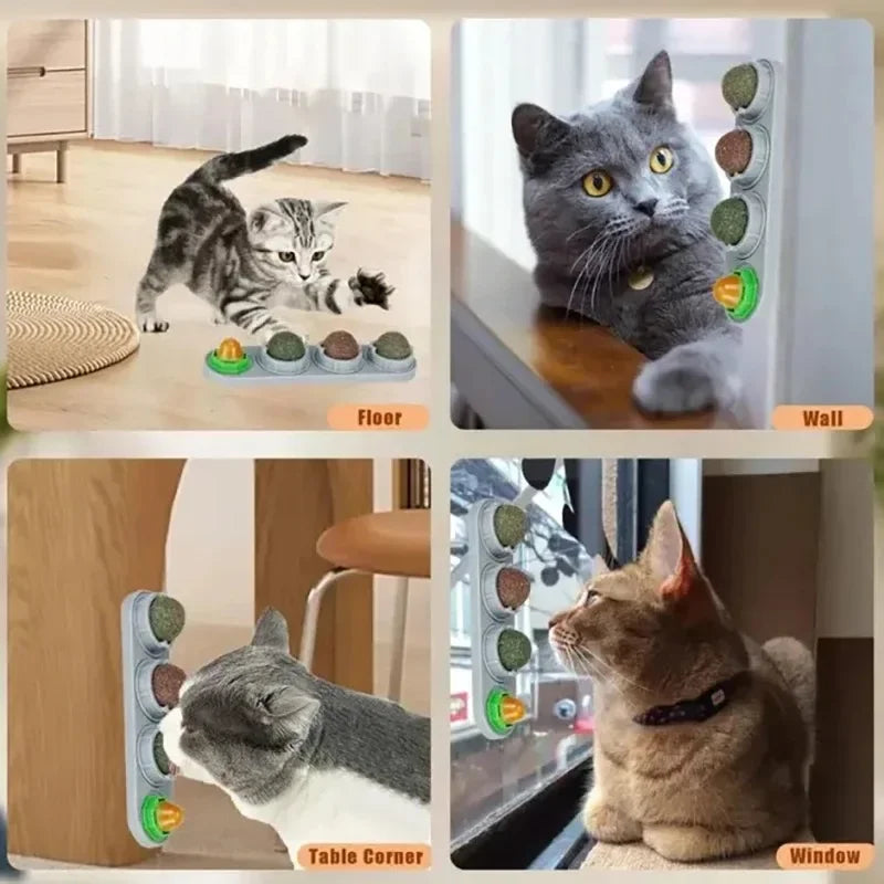 Catnip Wall Ball Toy – Rotating Interactive Cat Teeth Cleaning Toy