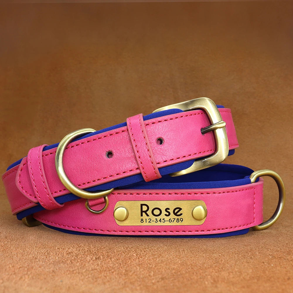 Personalized Dog Collar, Adjustable Padded PU Leather Collar