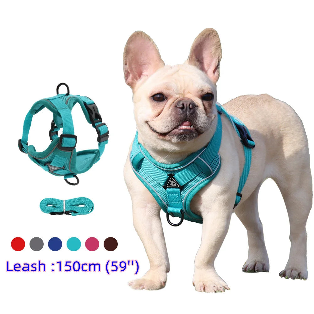 Small Dog Harness and Leash Set – Adjustable Vest