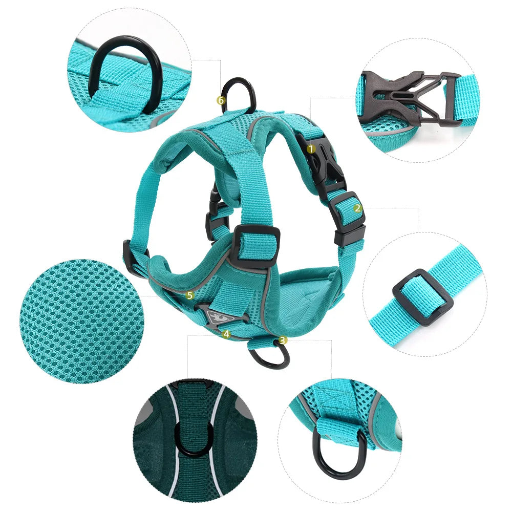 Small Dog Harness and Leash Set – Adjustable Vest