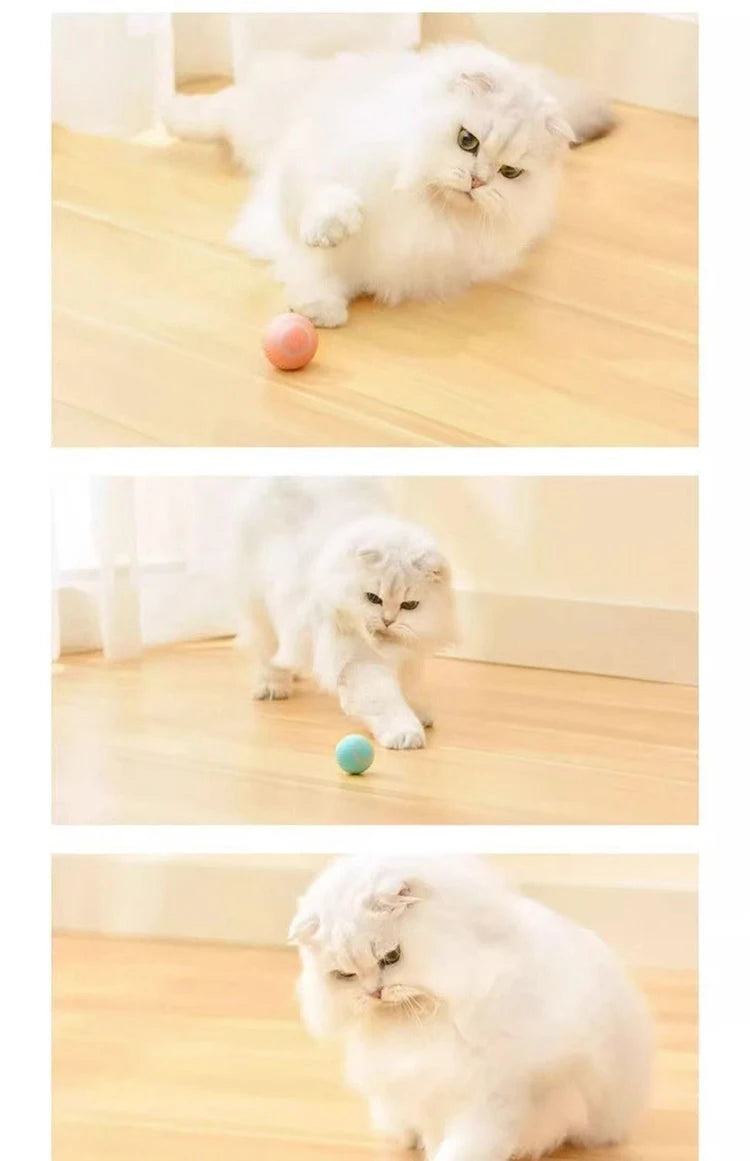 Automatic Cat Toy Rolling Ball Interactive Indoor Cat Toy