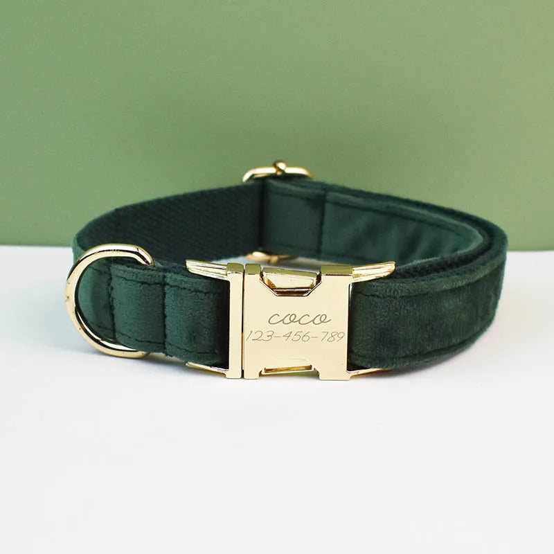 Dog Collar and Leash Set, Adjustable Velvet Collar with Gold Detail