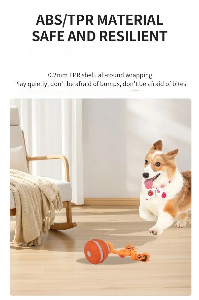 Interactive Dog Ball – Motion Activated Rolling Toy for Dogs