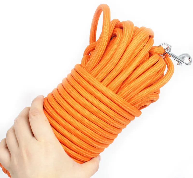 Long Dog Training Leash – 5M/10M/15M Nylon Recall Lead