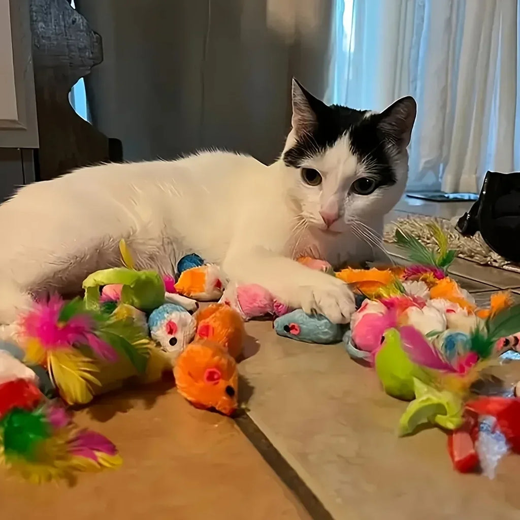 Cat Toys – Mixed Variety Plastic and Plush Toys
