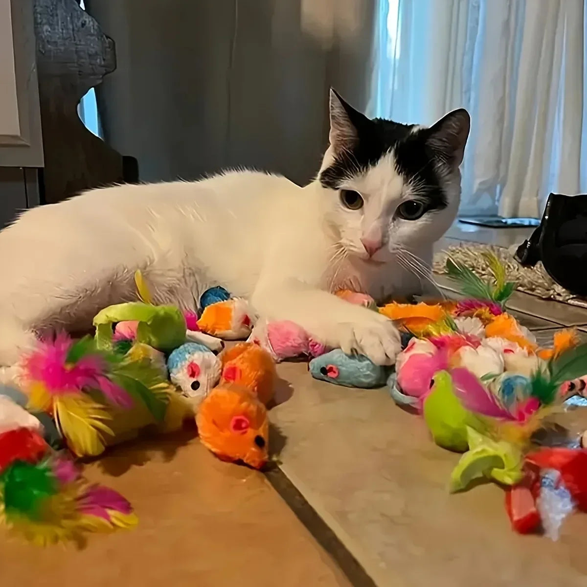 Cat Toys – Mixed Variety Plastic and Plush Toys
