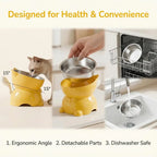 Elevated Cat Bowl – Inclined Food & Water