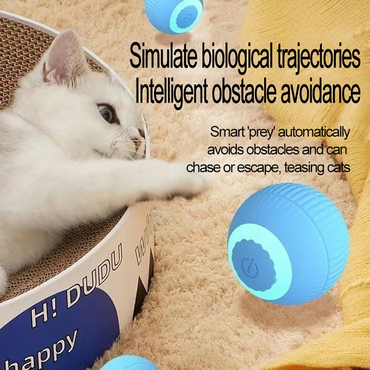 Automatic Cat Toy Rolling Ball Interactive Indoor Cat Toy