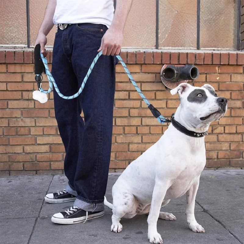 Nylon Dog Leash – Soft Handle Reinforced Lead for Daily Walks