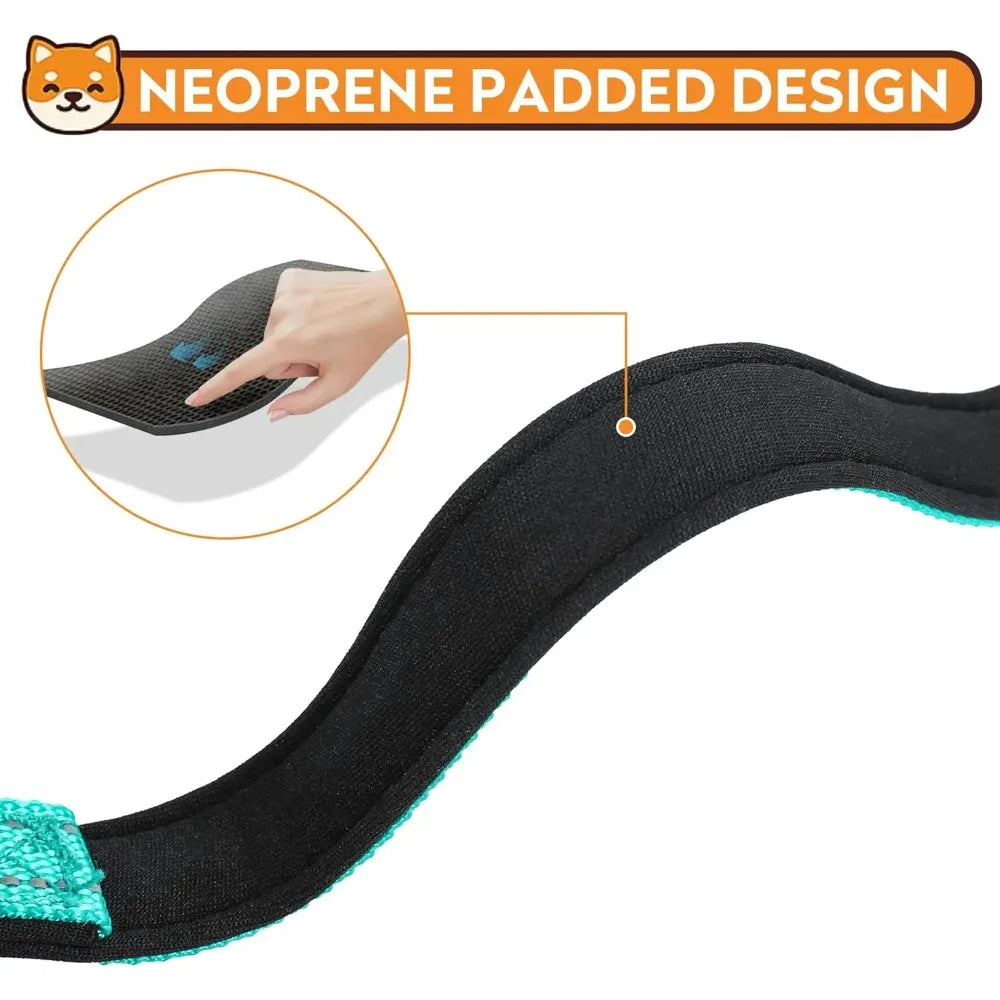 Adjustable Dog Collar, Soft Padded Nylon Collar with Buckle
