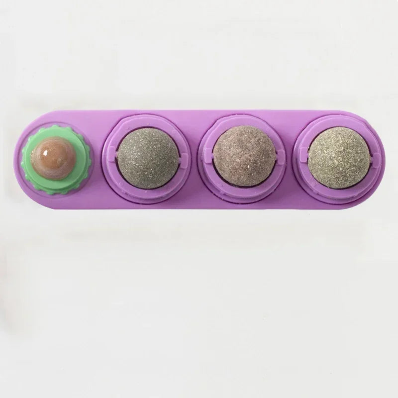 Catnip Wall Ball Toy – Rotating Interactive Cat Teeth Cleaning Toy
