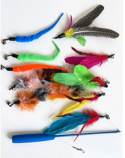 Cat Feather Wand Toy – 11 Piece Retractable Teaser Set