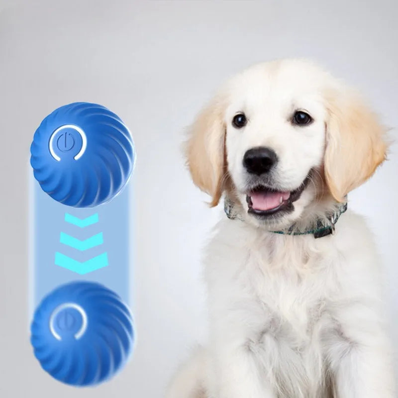 Interactive Dog Ball Toy – Automatic Moving Rechargeable Toy