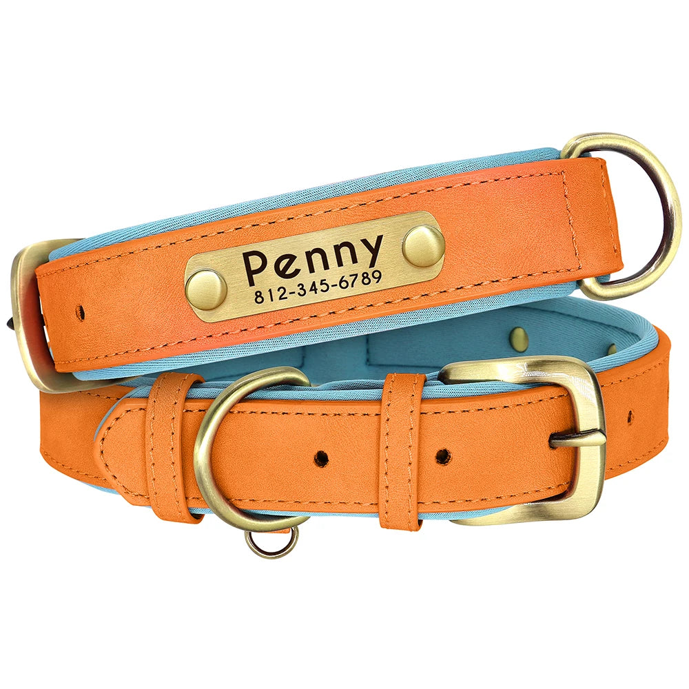 Personalized Dog Collar, Adjustable Padded PU Leather Collar