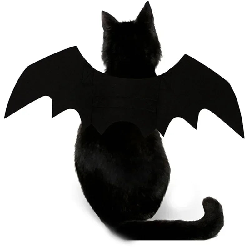 Bat Wing Cat Costume – Black Halloween Pet Cosplay Outfit