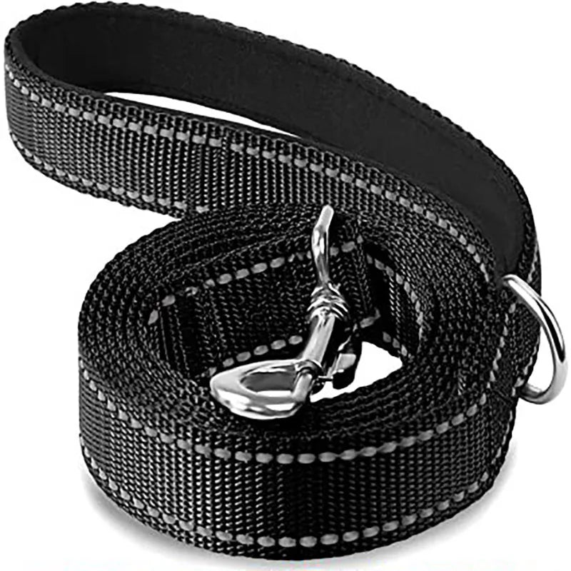 Reflective Dog Leash – Nylon Night Walking & Training Lead