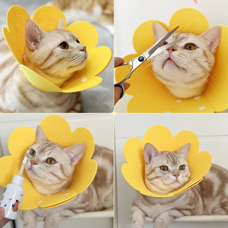 Pet Recovery Cone – Protective Collar for Dogs & Cats