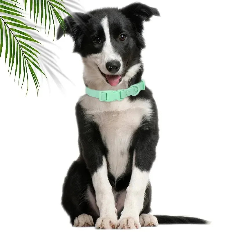 PVC Dog Collar Waterproof Adjustable Breakaway Easy Clean