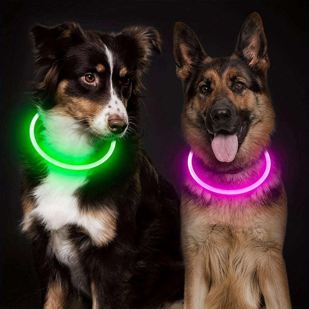 LED Dog Collar – USB Rechargeable Light-Up Reflective Collar