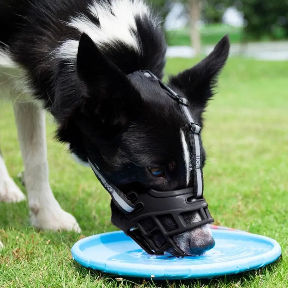 Adjustable Dog Muzzle with Reflective Strip for Drinking