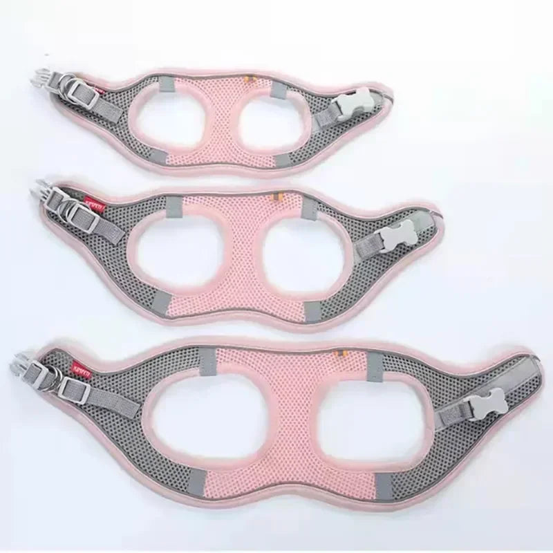 A comfortable, adjustable harness with reflective detailing for everyday pet walks.