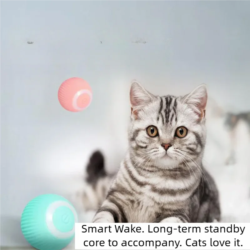 Automatic Cat Toy