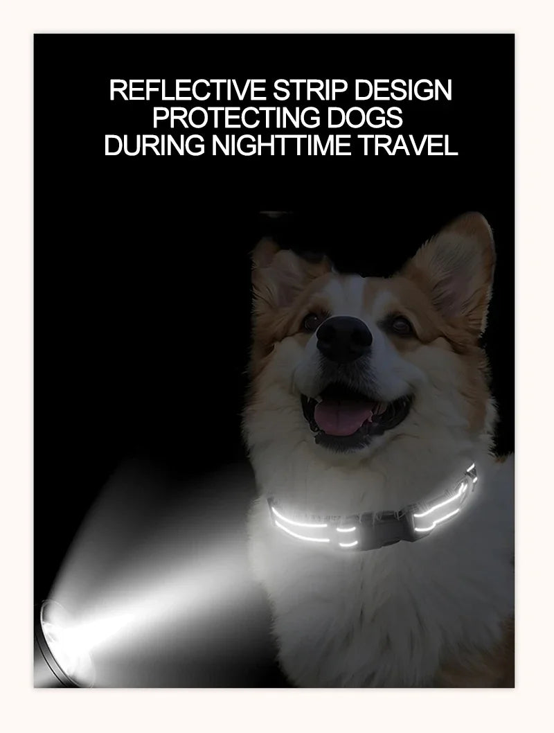 Reflective Dog Collar, Adjustable Nylon Safety Collar for Small Dogs