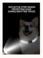 Reflective Dog Collar Adjustable Nylon Safety Collar for Small & Medium Dogs