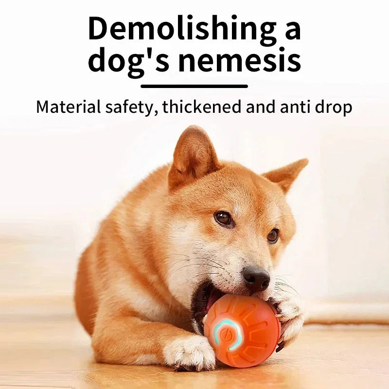 Interactive Dog Ball – USB Rechargeable Automatic Moving Toy
