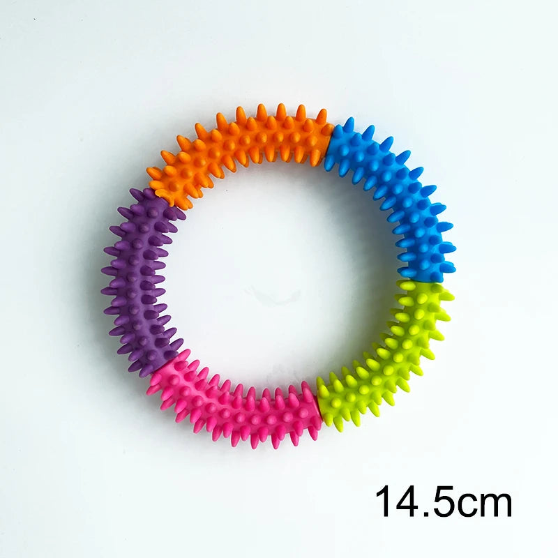 Dog Training Ring – Rubber Interactive Fetch & Flying Disc Toy