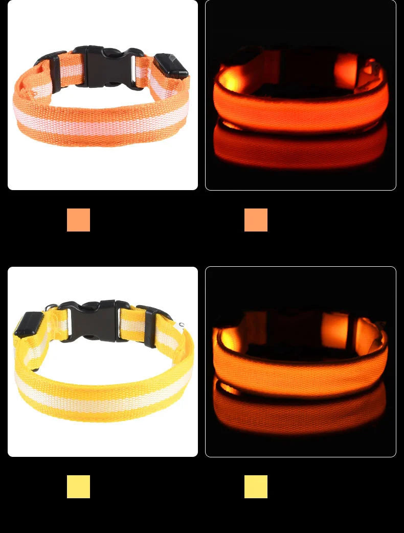 LED Dog Leash Nylon Light Up Glow Night Safety Collar