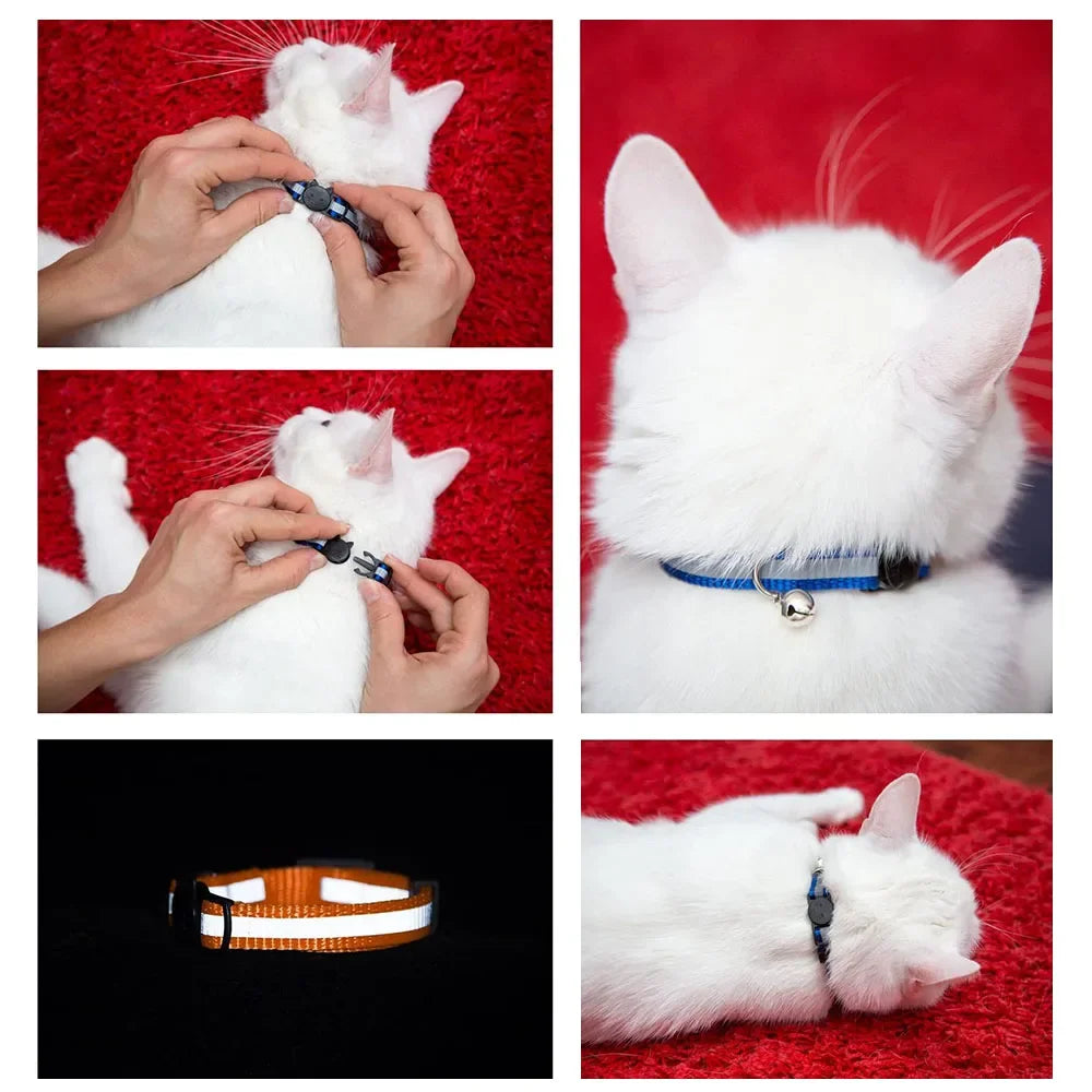 Breakaway Cat Collar – Reflective Adjustable Collar With Bell
