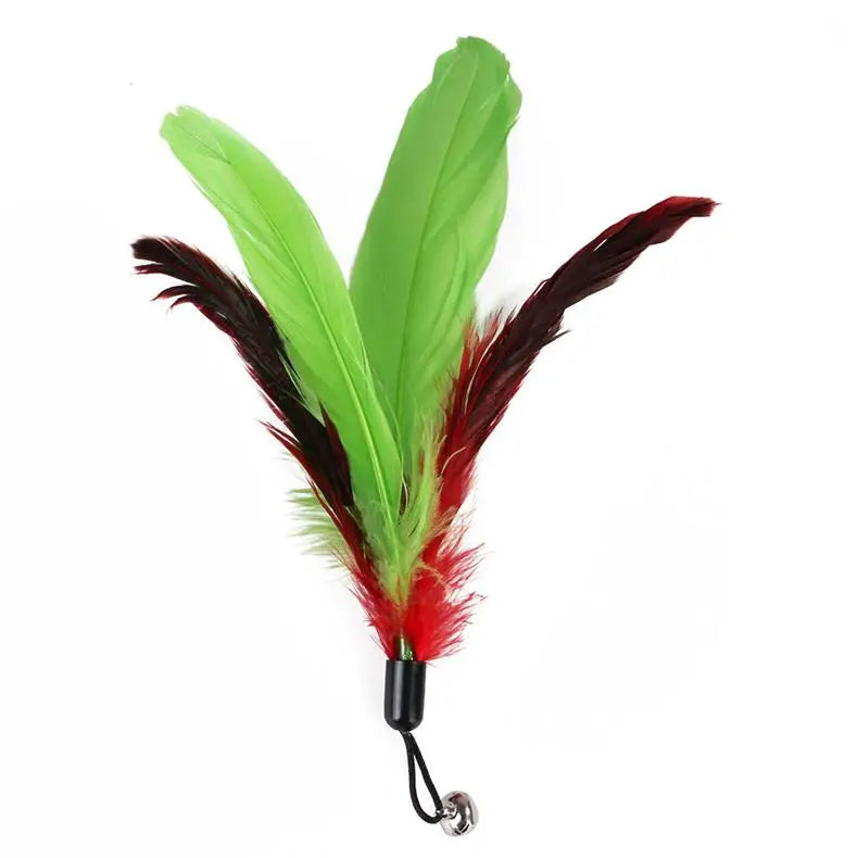 Cat Feather Wand Toy – 11 Piece Retractable Teaser Set