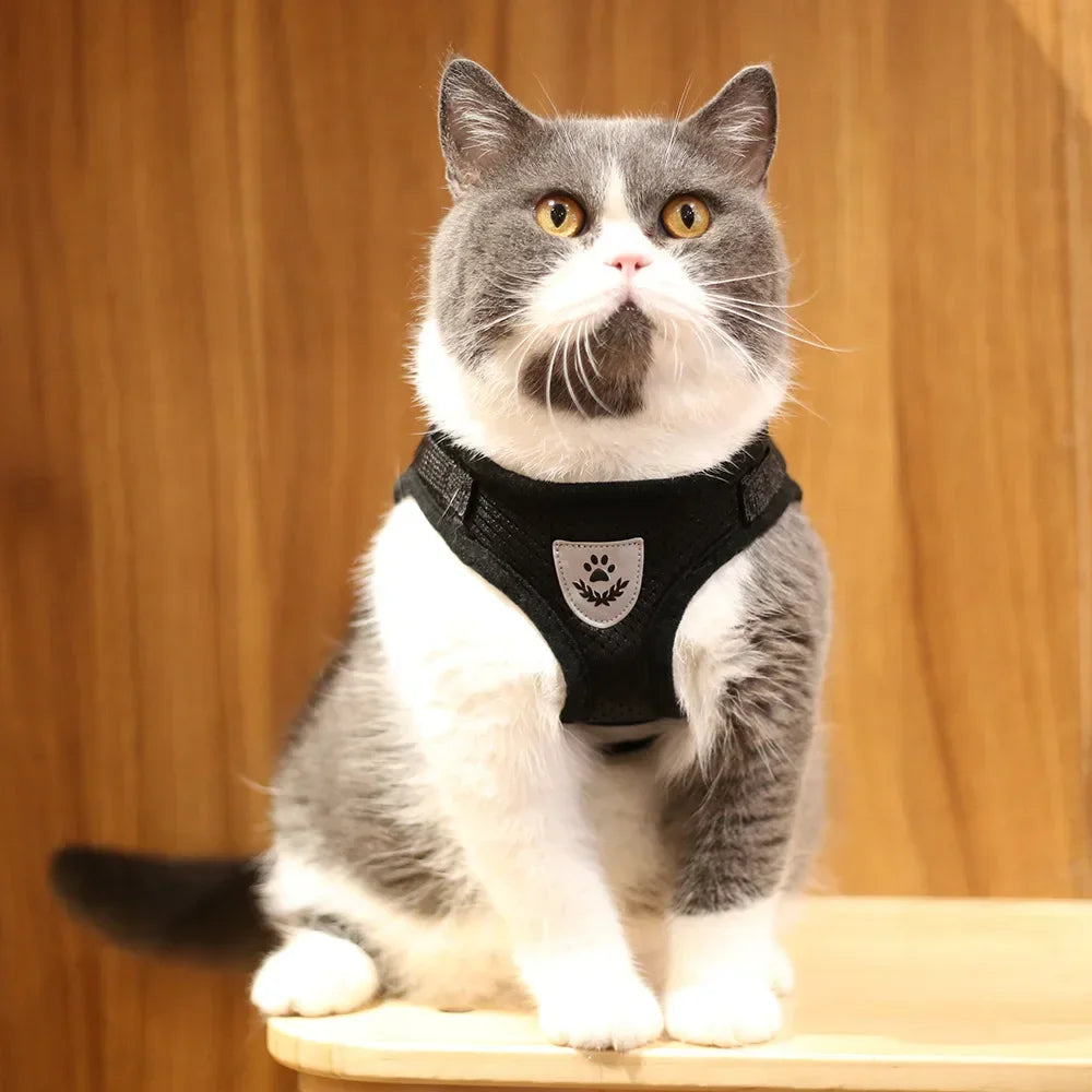 Cat Harness and Leash Set
